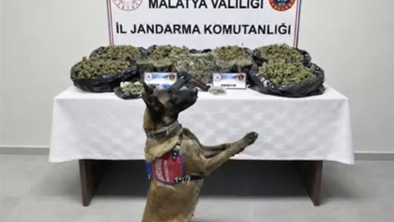 Malatya’da Uyuşturucu Operasyonu: 2 Şüpheli Gözaltında