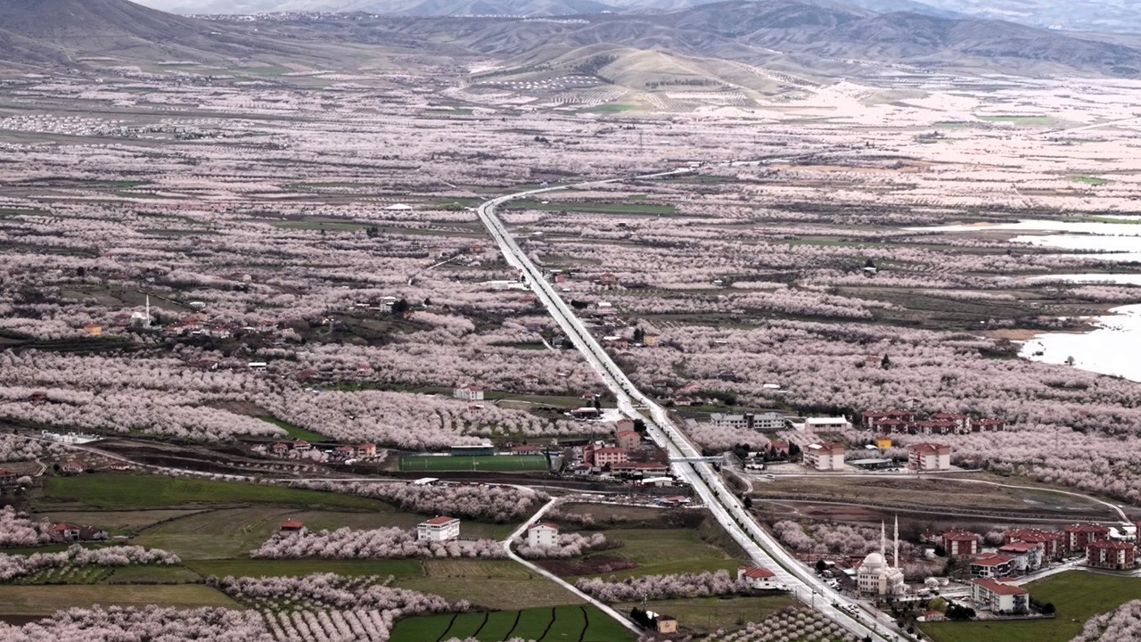 Kayısı Cenneti Malatya Beyaza Büründü: Çiçekler Kartpostallık Görüntüler Oluşturdu