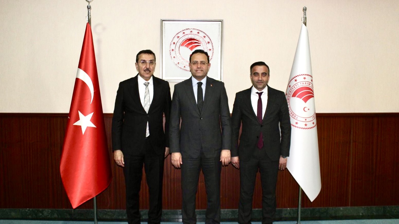 Malatya’nın Akçadağ ilçesinde kurulması planlanan Küçük Sanayi Sitesi için arazi