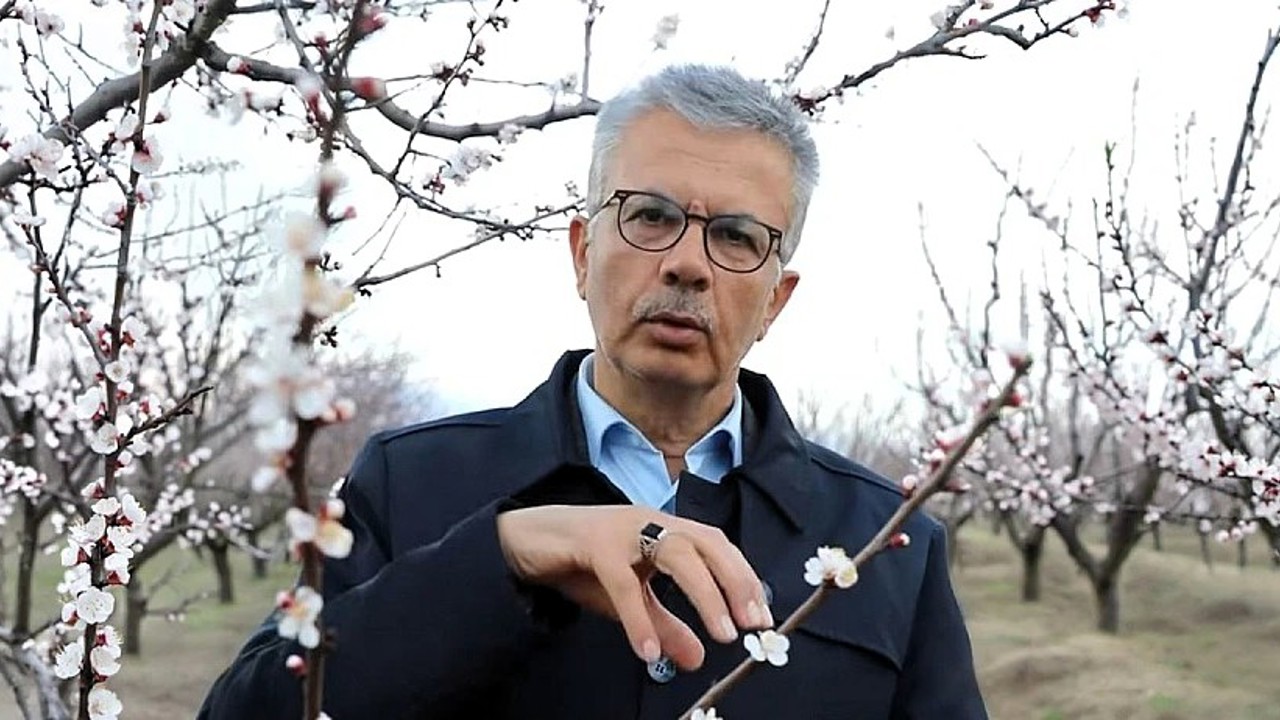 Kayısıda Kritik Uyarı: “-3 Derecede Tüm Ürün Kaybedilebilir”