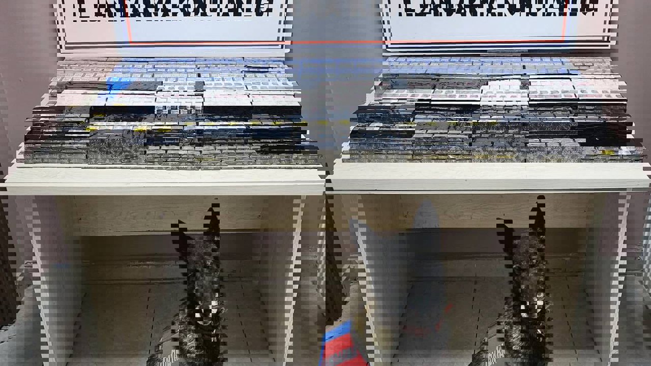 Kayseri-Malatya Karayolunda 2 Tırda Kaçak Sigara Ele Geçirildi