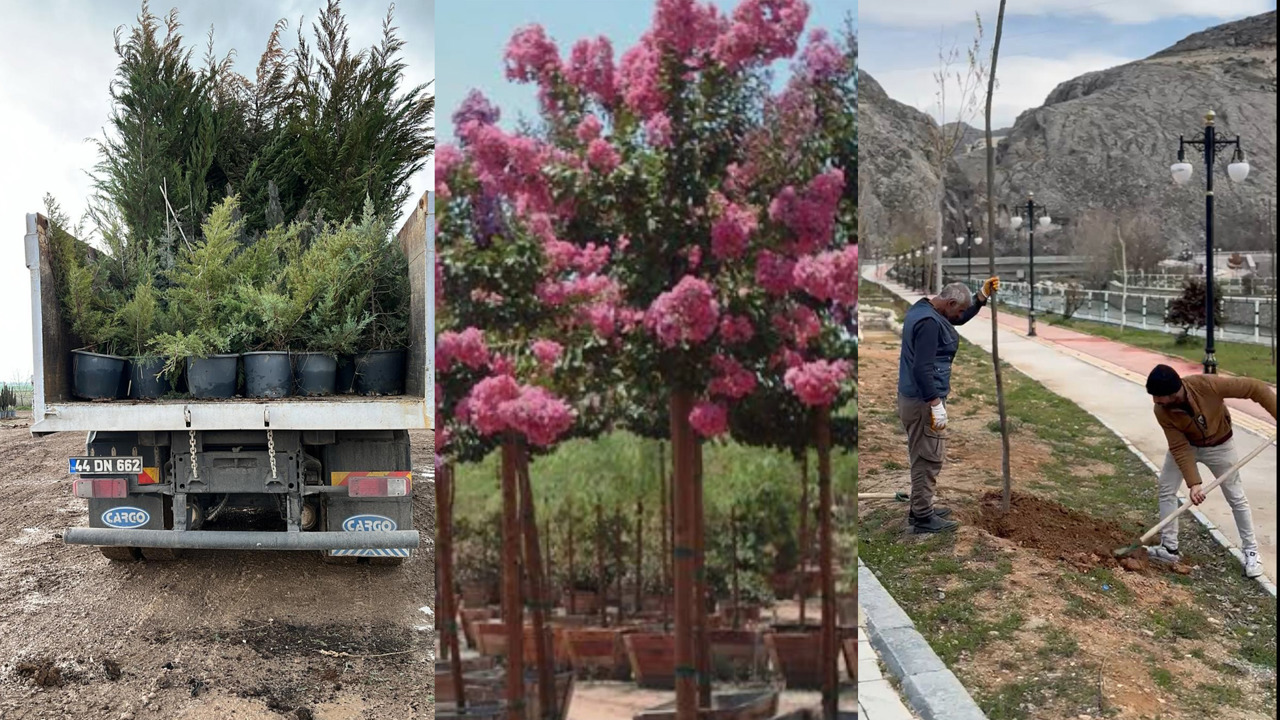 Darende’de 7 Bin 312 Fidan Toprakla Buluşturuldu