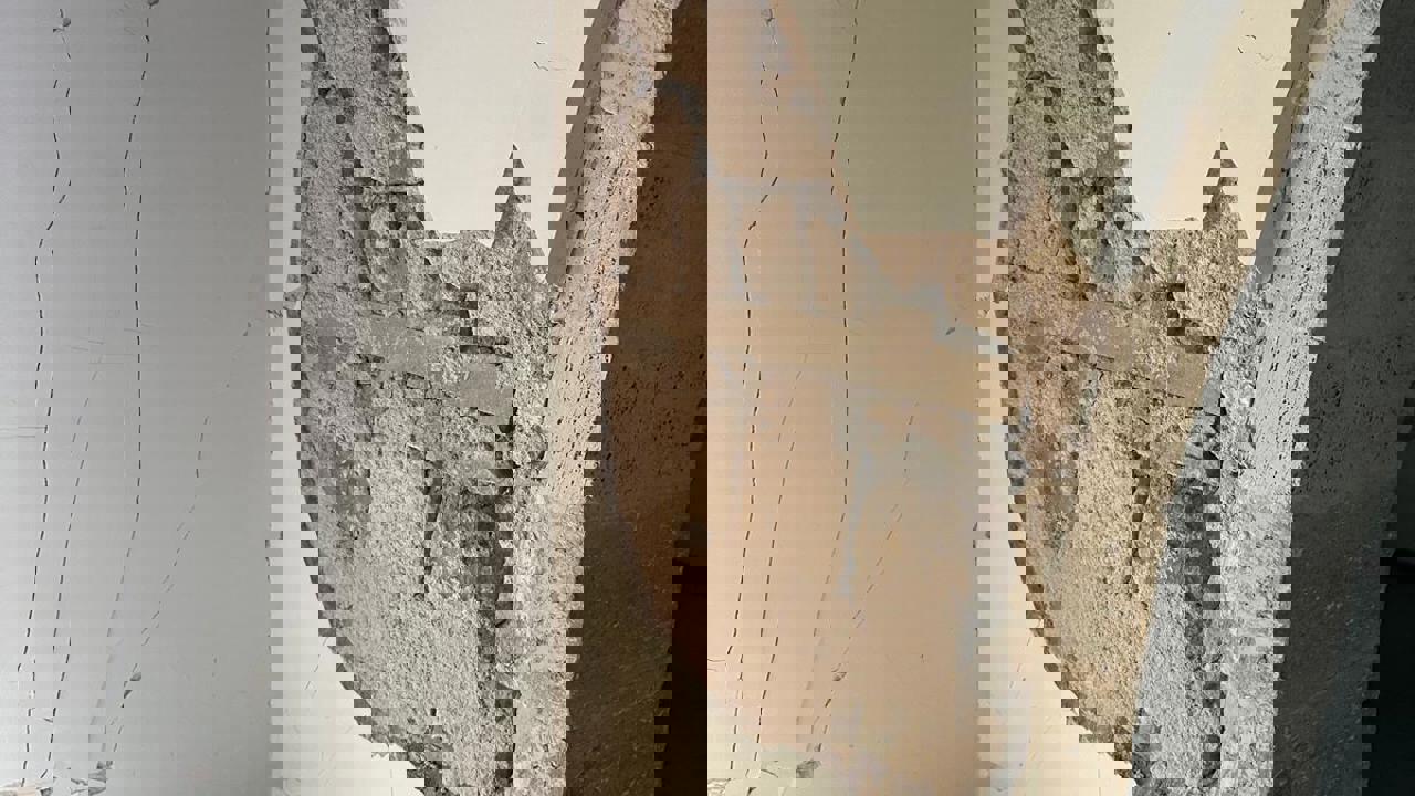 Tarihi Caminin Kaderine Terk Edilmesine Tepki