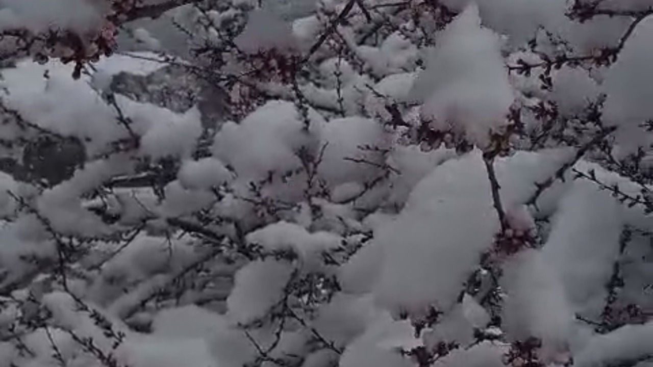 Sürgü’de Çiftçiler Zirai Don Nöbetinde