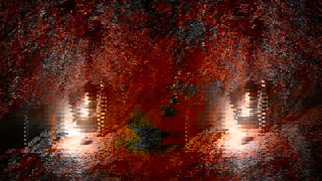 Malatya'da Kayısı da Zirai Don Riski Sürüyor mu?