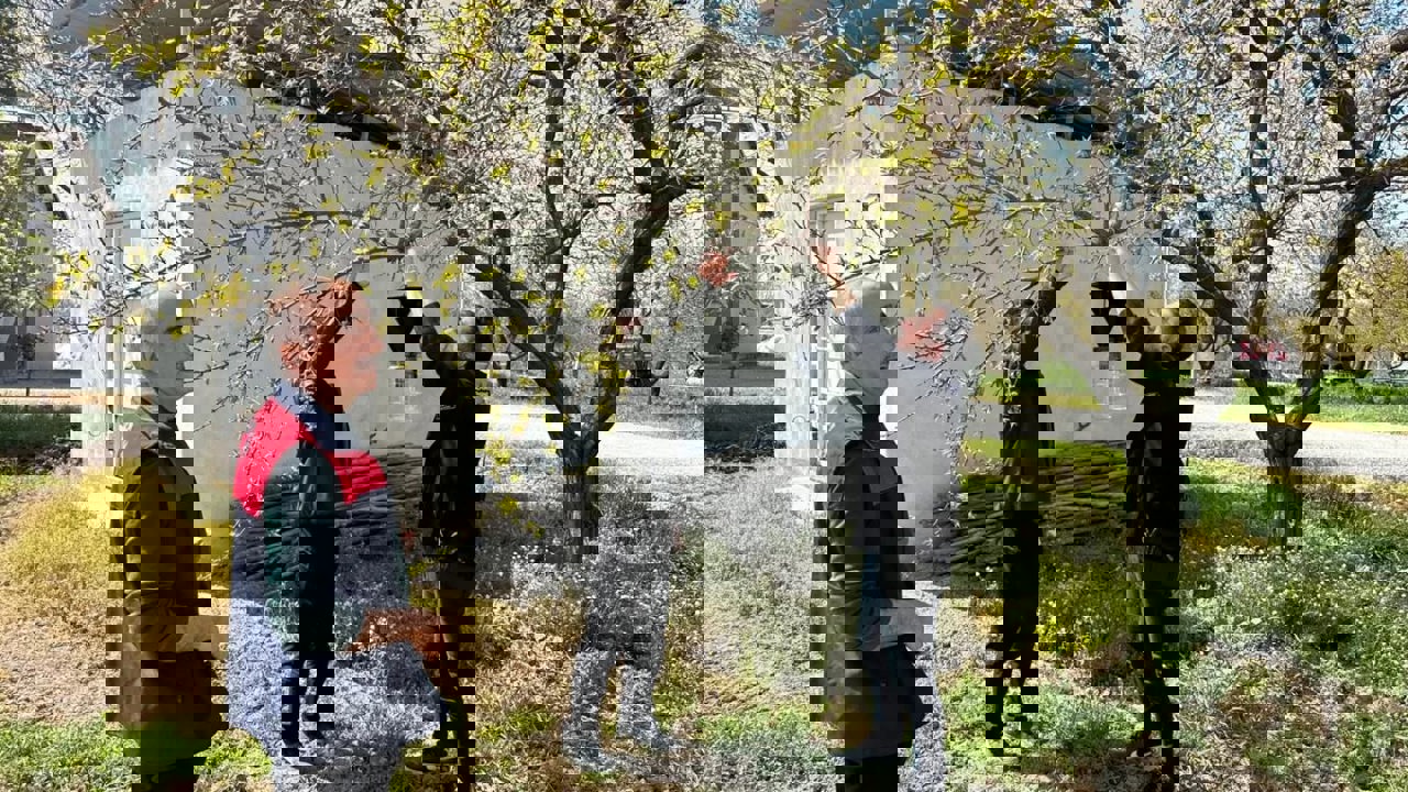 Malatya’da Kayısıyı Tehdit Eden Kokarca Alarmı: Sahada Denetim Süreci Başlatıldı