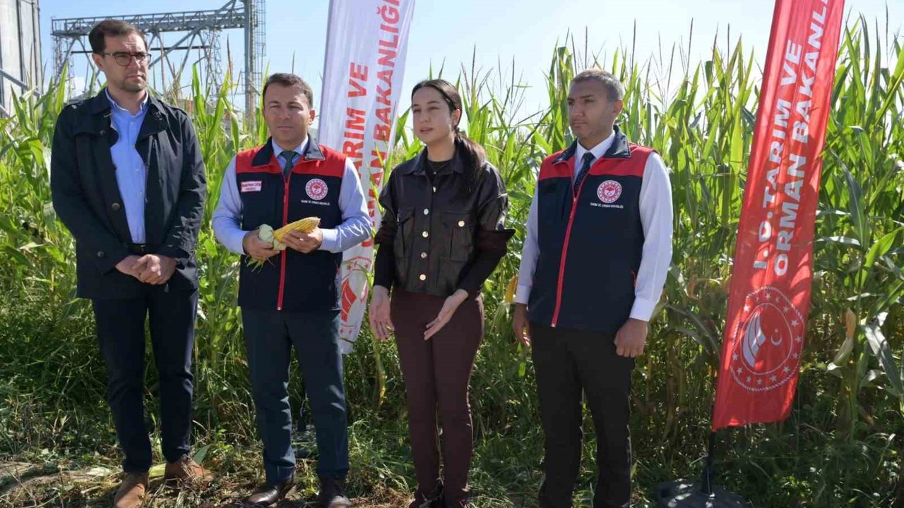 Denizli’nin toprakları organik maddelerle bereketleniyor
