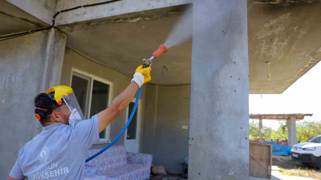Samsun’da kahverengi kokarcaya karşı kışlak seferberliği
