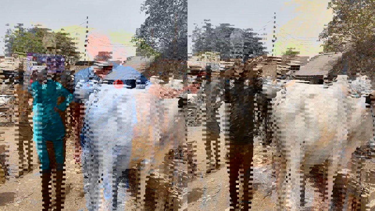 Kardeşlerini Unutma Derneği, Kurban Bayramı öncesi Nijerya, Kamerun, Çad ve Soma