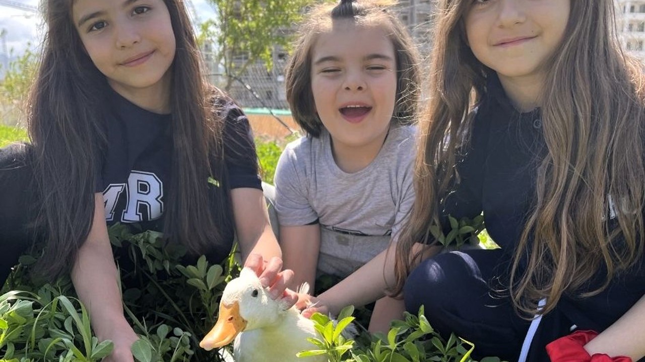 Okulda Şiddete Karşı Örnek Model: Mercan Koleji’nde Sevgi Temelli Eğitim