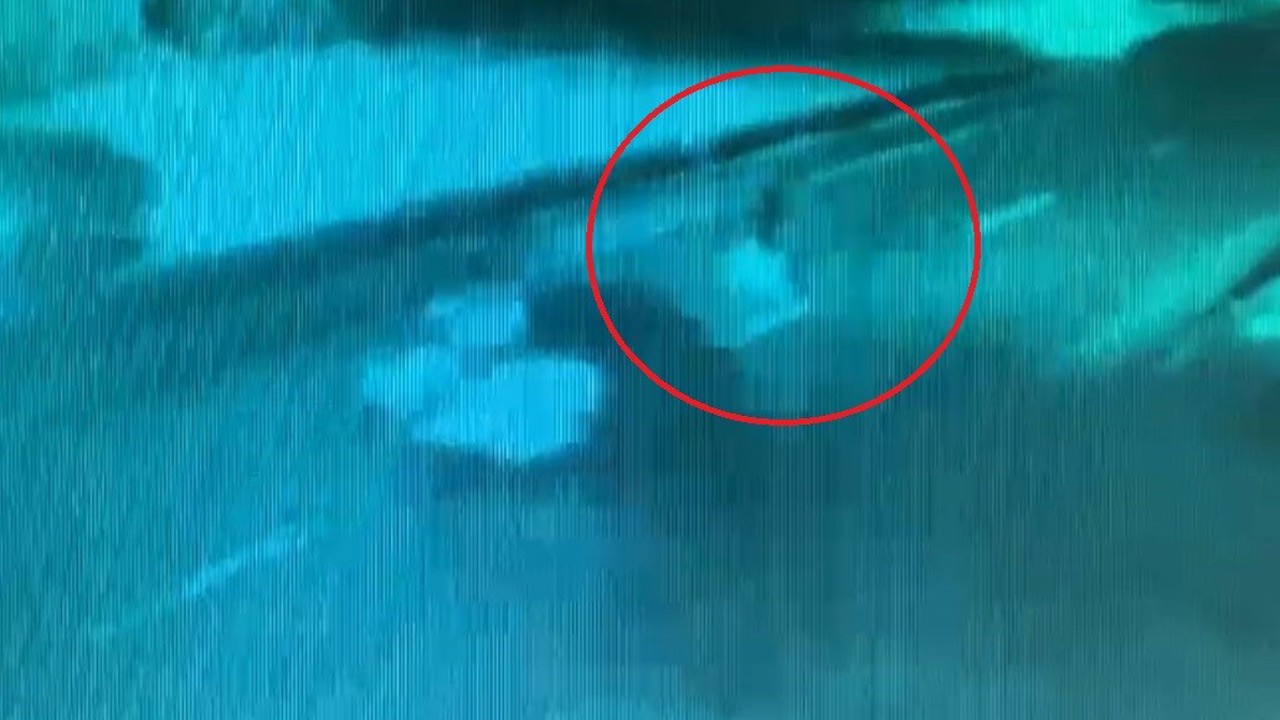 Otomobilin çarptığı yaya hayatını kaybetti
