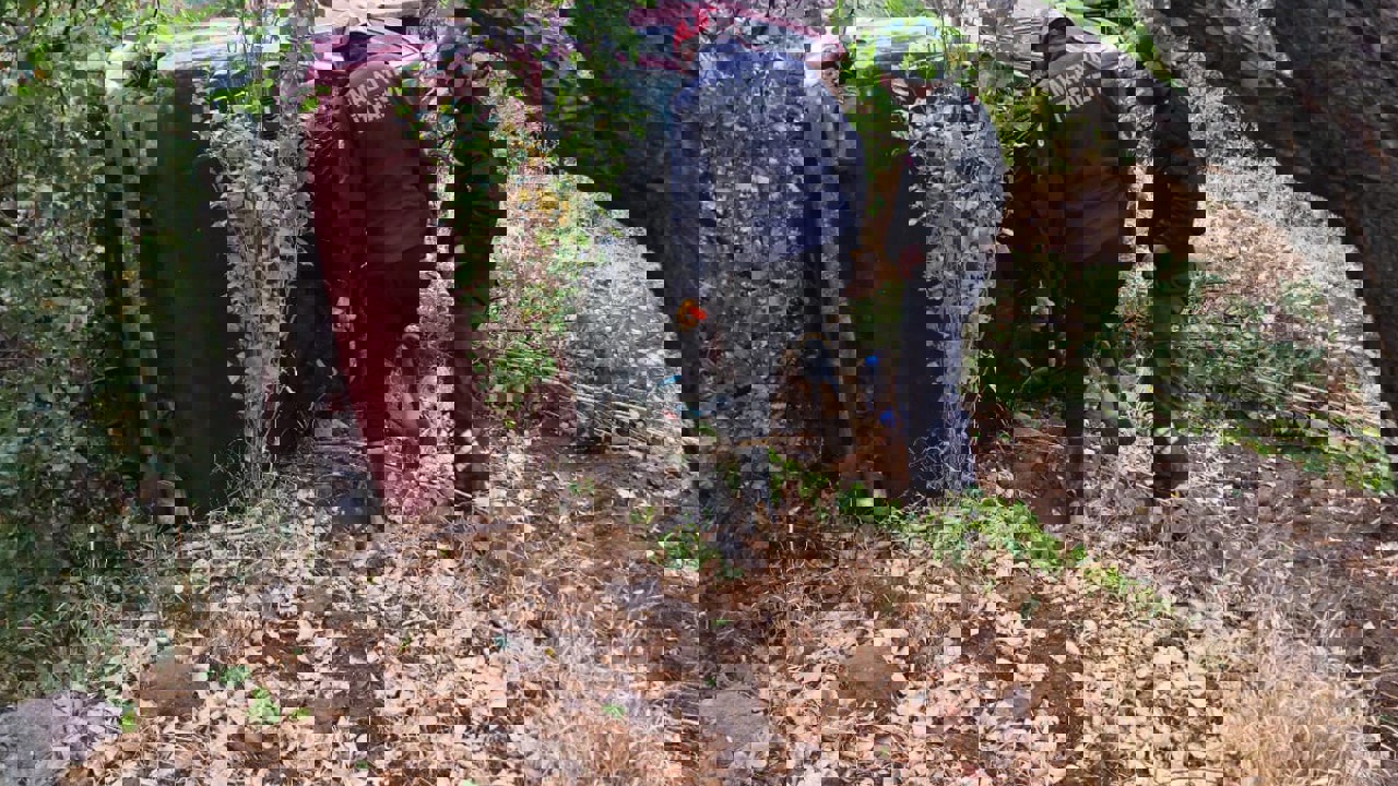 Hekimhan’da Yağışlı Yolda Kontrolden Çıkan Pikap Şarampole Düştü: 2 Yaralı