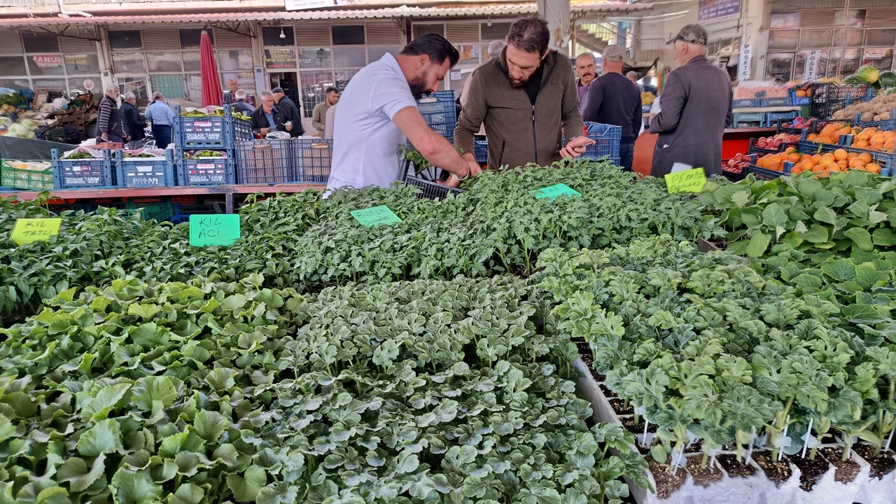 Pazardaki Fiyatlar Artınca Vatandaş Fideliğe Koştu