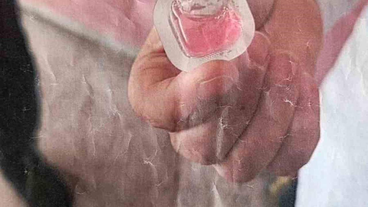 Kapı kapı gezip fotoğraf göstererek tehlikeye dikkat çektiler
