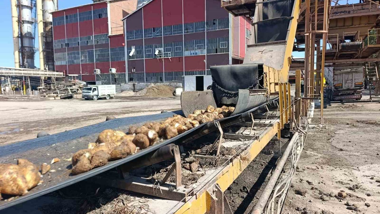 Malatya Şeker Fabrikası’nda 62 bin ton şeker üretimi hedefleniyor
