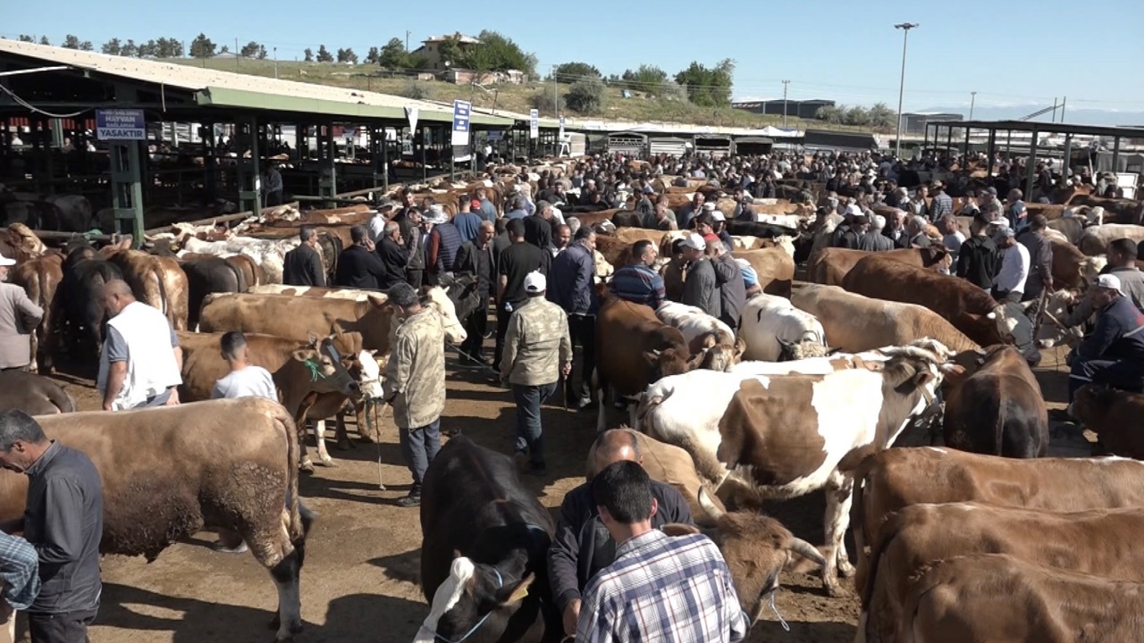 Malatya’da Kurban Pazarı Hareketli, Satışlar Durgun
