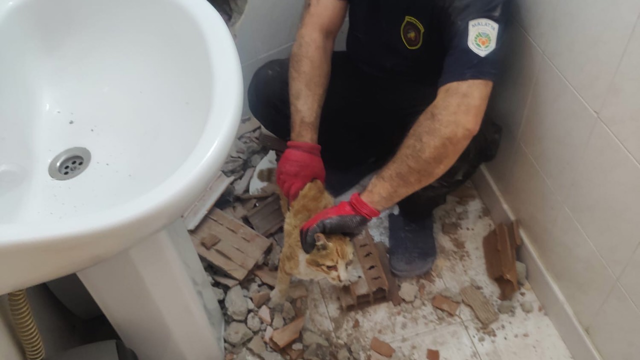 İki Bina Arasına Sıkışan Kedi 2 Saatlik Çalışmayla Kurtarıldı