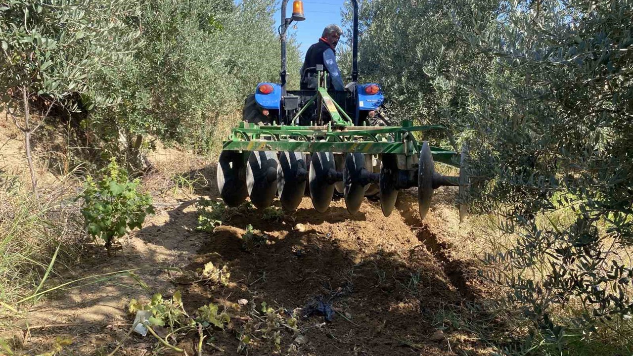 Alaşehir’de çiftçilerin yağmur sevinci

