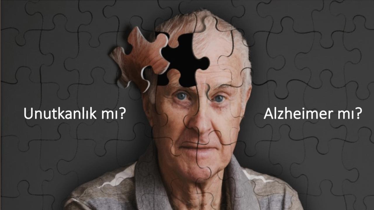 Her Unutkanlık Alzheimer Değil: Nörolojik mi, Psikiyatrik mi? İşte Ayırt Etmenin Yolları