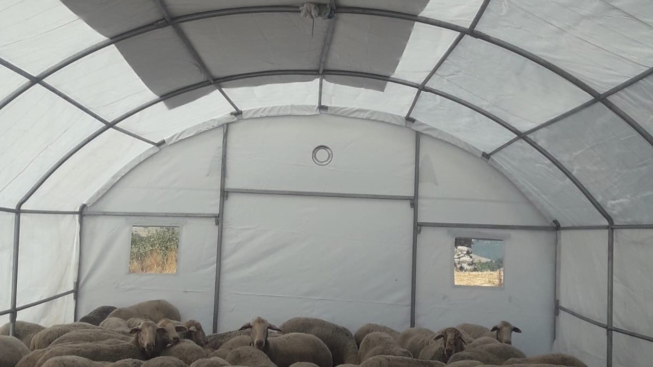 Sındırgı’da depremden etkilenen üreticilere geçici hayvan barınma çadırı desteği
