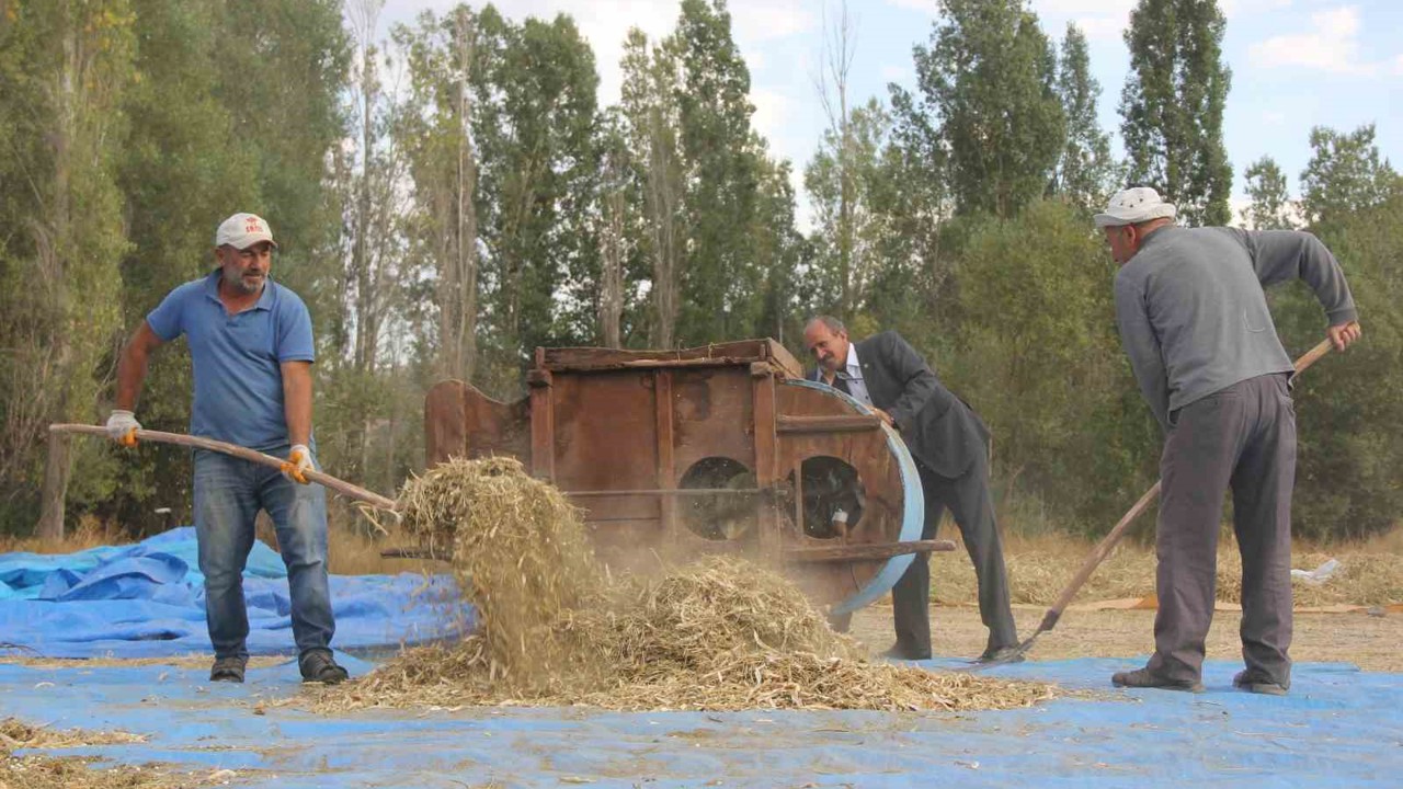 Ata tohumu fasulyeler geleneksel yöntemlerle üretiliyor
