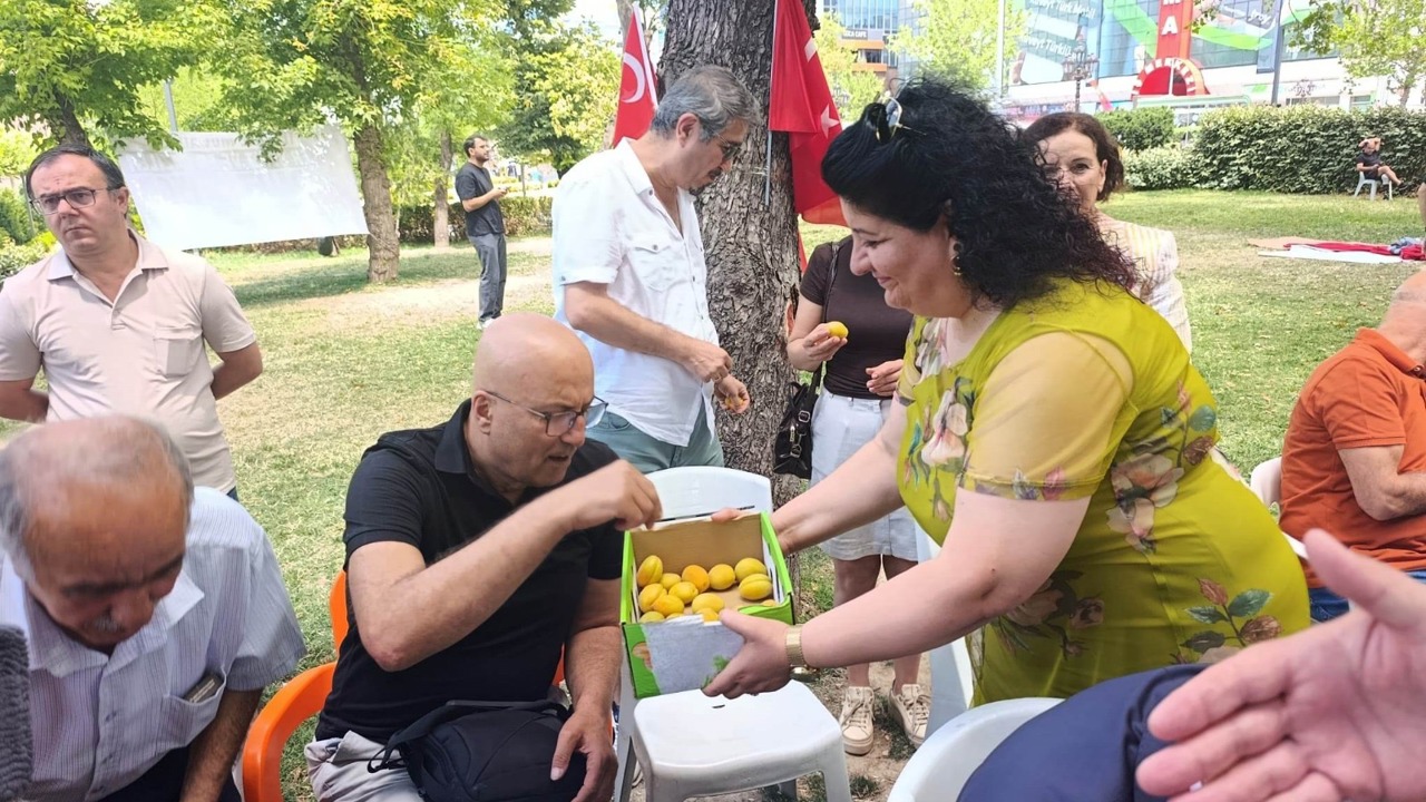 Malatyalılardan Güvenpark’ta Gazi Ve Şehit Ailelerine Kayısı Desteği