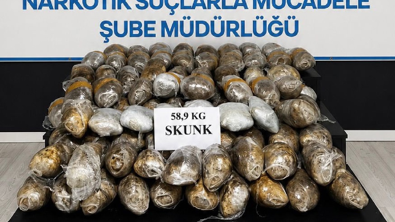 Hakkari'de 58 kilo 900 gram skunk ele geçirildi