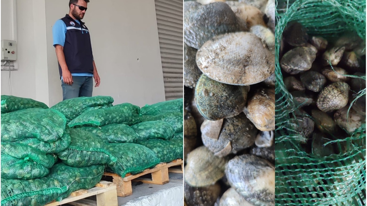 Kapıkule Sınır Kapısı'nda 840 kilogram canlı akivades ele geçirildi