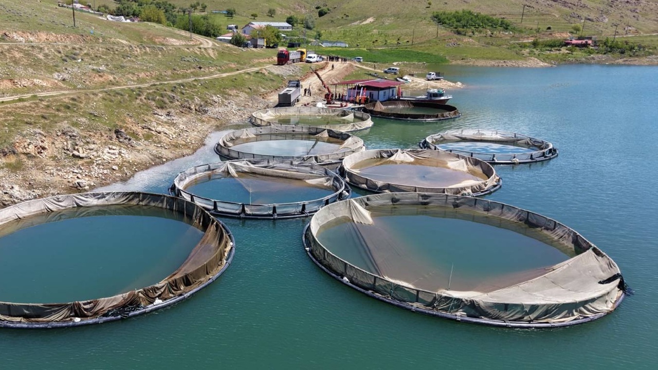Su ürünlerinde sürdürülebilirlik için Ulusal Eylem Planı yayımlandı