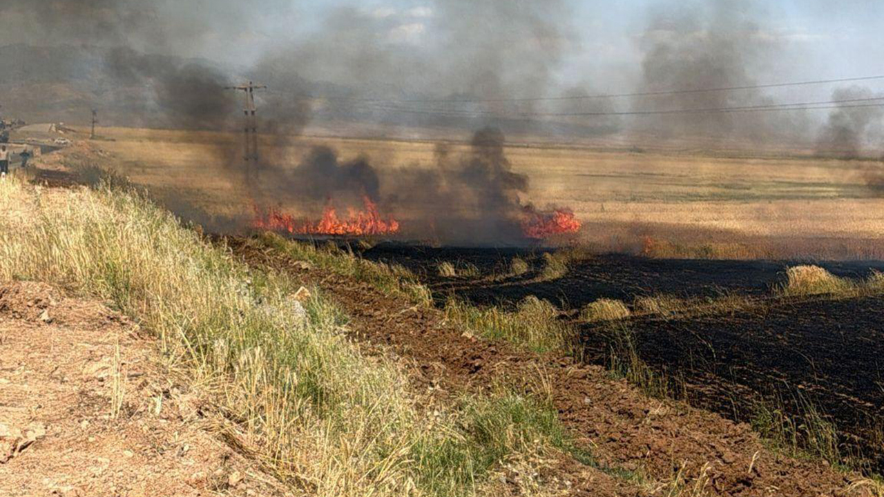 Cizre’de çıkan yangında 6 dönüm buğday tarlası küle döndü