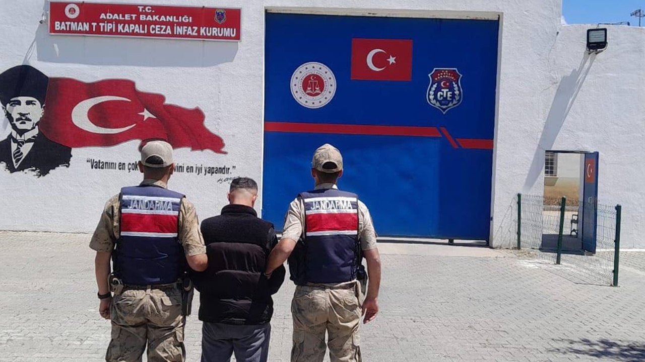 Batman'da iki ayrı operasyonda binlerce kök kenevir ele geçirildi