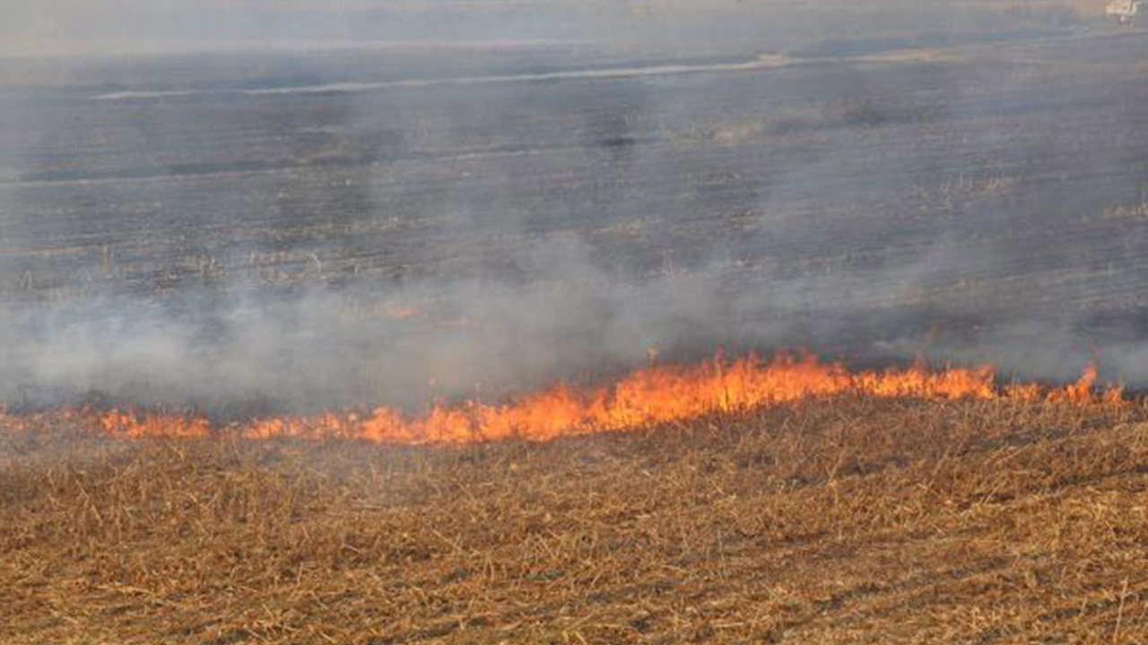 Şanlıurfa yangın çemberinde: TEMA’dan acil tedbir çağrısı