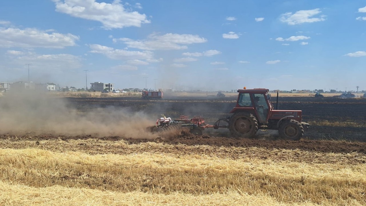 Mardin'de yaklaşık 80 dönüm buğday ekili alan kül oldu 