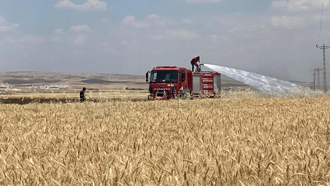 Mardin’de yaklaşık 300 dönüm ekili alan yandı 