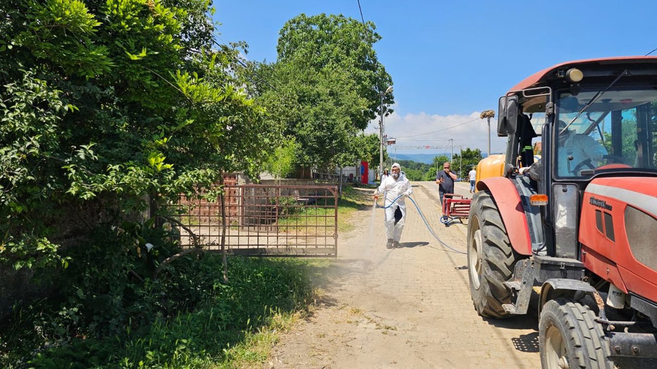 Bursa'da kahverengi kokarca zararlısına karşı ilaçlama yapıldı