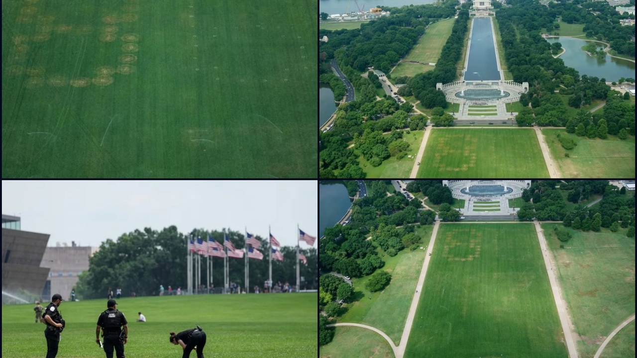 Ulusal Parkta Trump'a dev "8647" mesajı