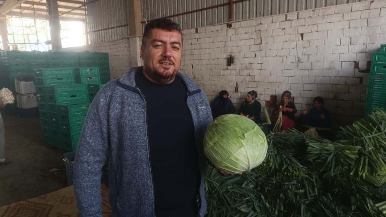 Kışlık ürünlerde hasat başladı
