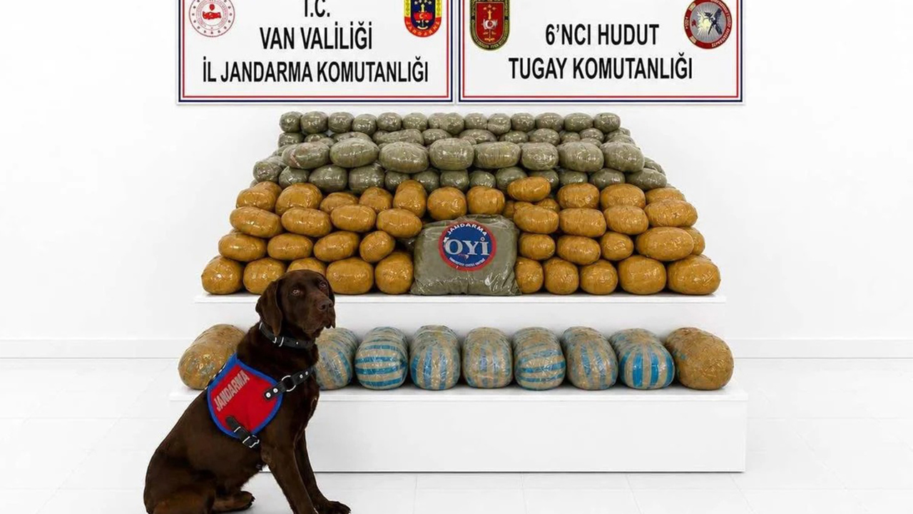 Van'da 291 kilo toz esrar ele geçirildi: Bir tutuklama