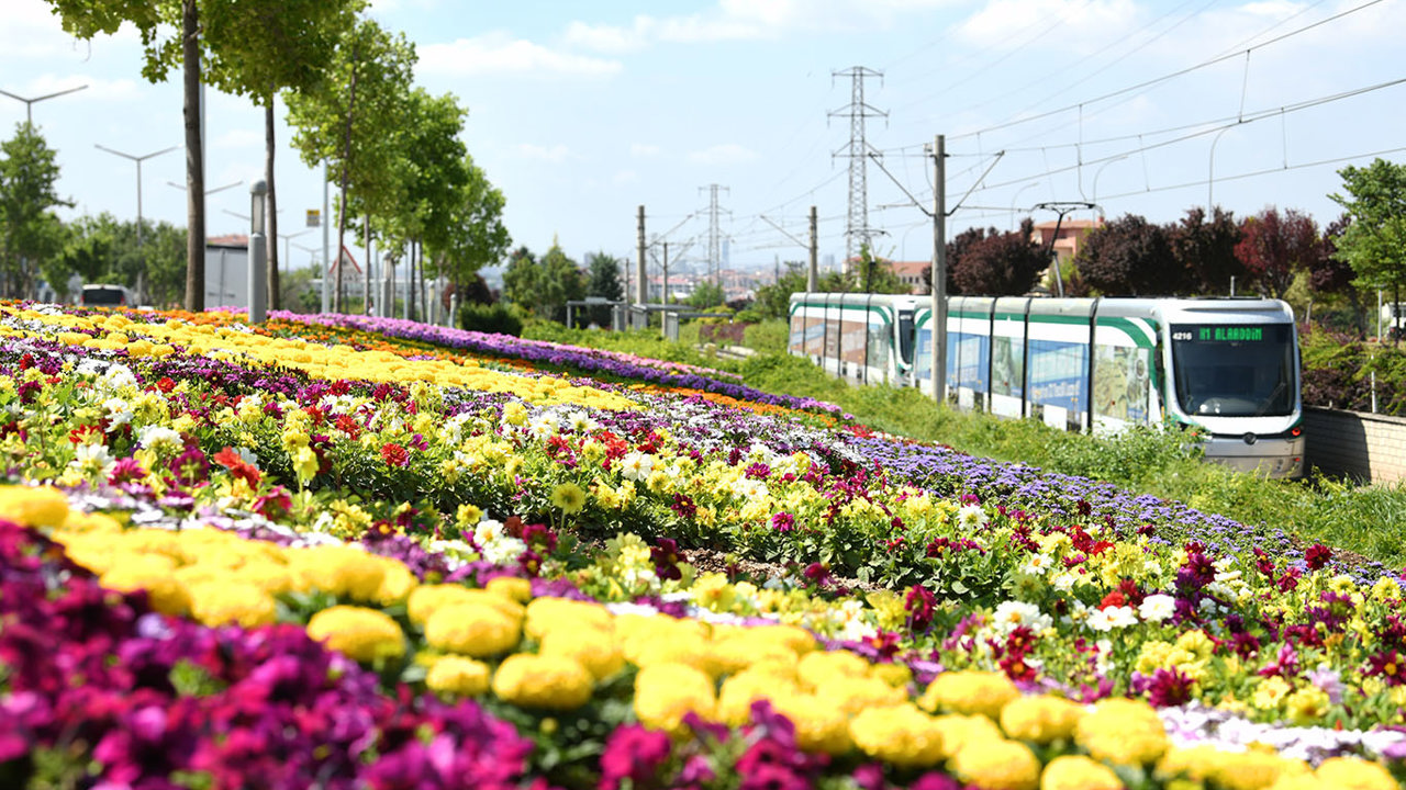 Konya’da park ve caddeler çiçeklerle renklendirildi