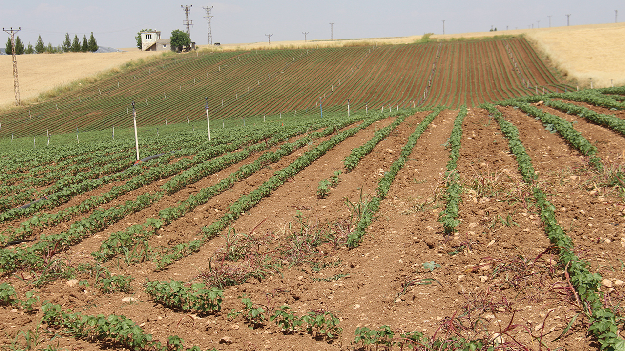 Yüksek faturalar çiftçiyi üretimden uzaklaştırıyor