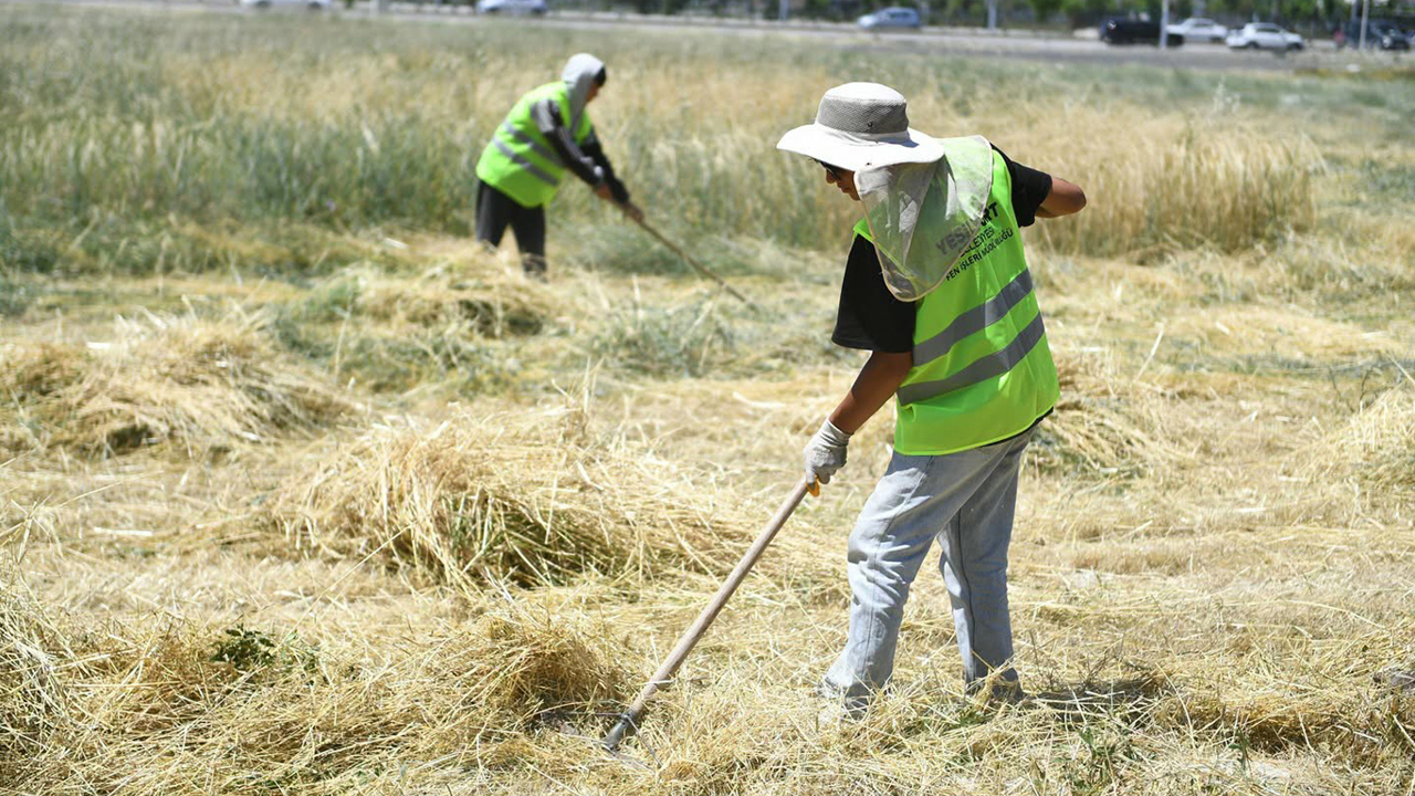 Yeşilyurt Belediyesi, ilçe genelinde sürdürülen bakım, temizlik ve çevre düzenle