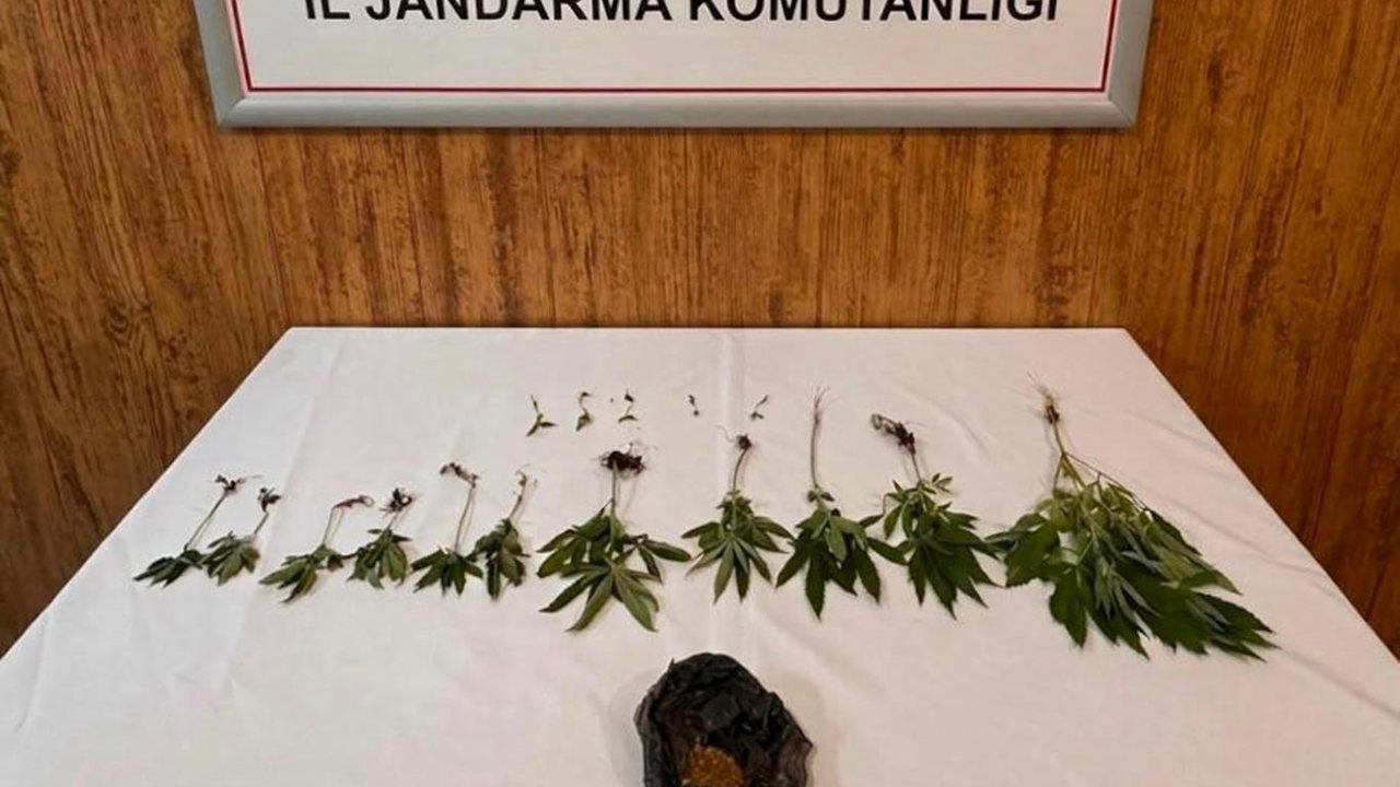 Şanlıurfa’da uyuşturucu operasyonu