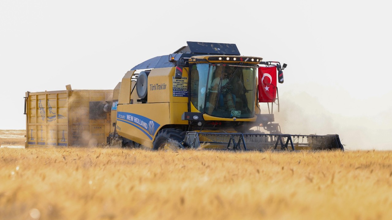 Mardin Ovası'nda buğday hasadı sürüyor: Bir milyonu aşkın ekili dekardan 709 bin 511 ton üretim hedefleniyor