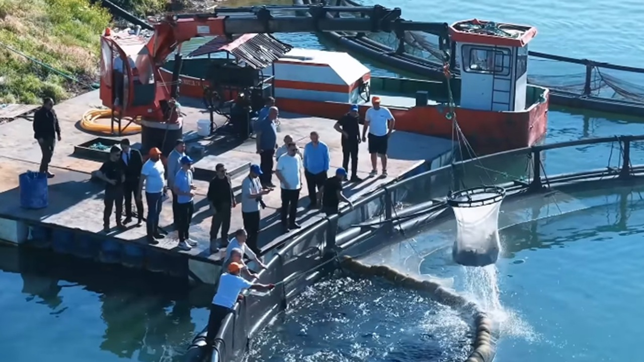 Bingöl’de alabalık hasadı: Vali Çelik su ürünleri tesisinde incelemelerde bulundu