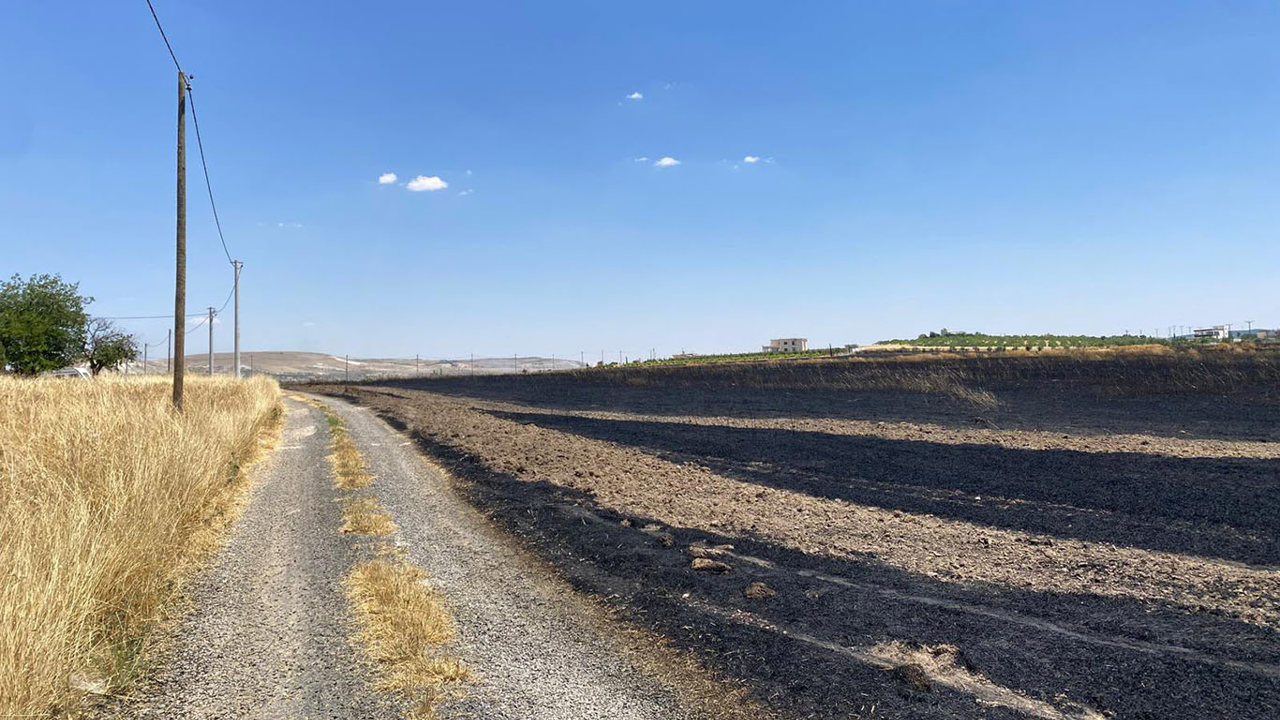 Şanlıurfa’da arpa tarlasında yangın: 300 dönüm alan zarar gördü