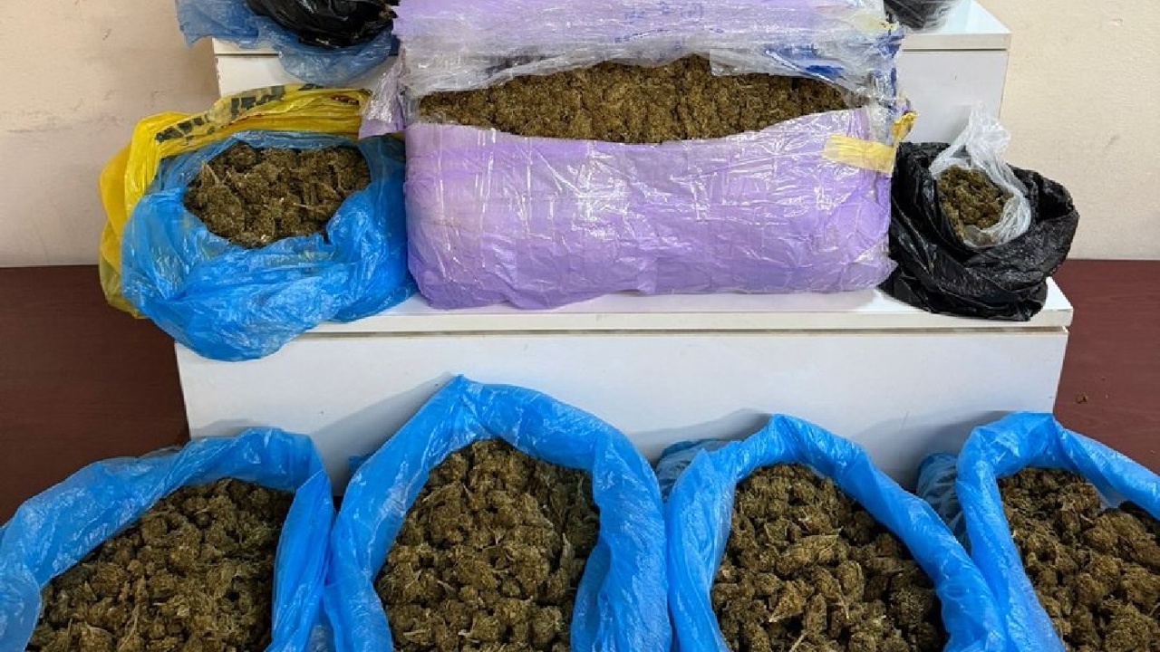 Muğla'da durdurulan otomobilde 5 kilogram skunk ele geçirildi