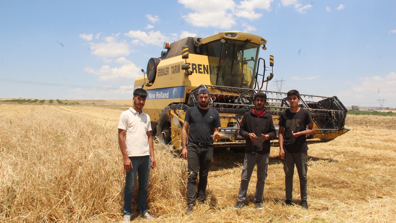 Arpa hasadına başlayan çiftçiler verimden memnun, maliyetlerden şikâyetçi