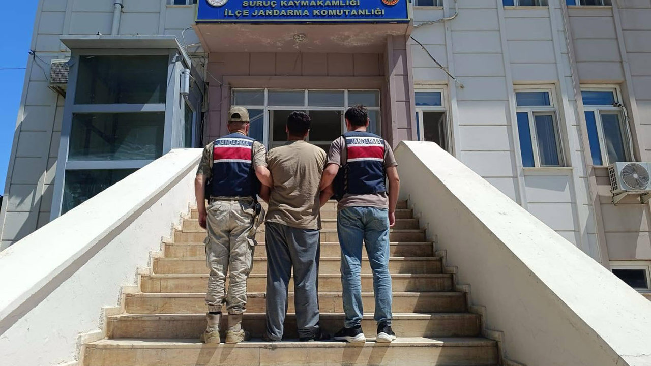 Dolandırıcılık suçundan aranan hükümlü Suruç'ta yakalandı
