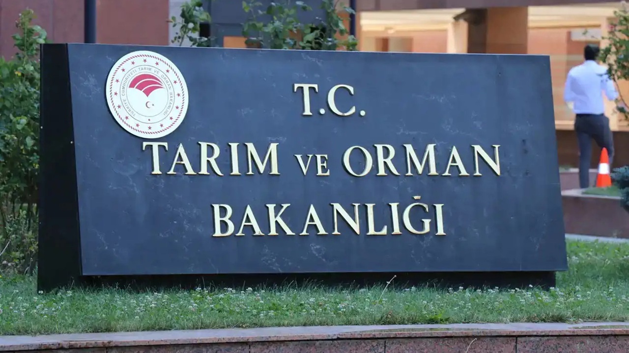 İşgal rejimi sözde ordusu Gazze’de aileleri hedef aldı