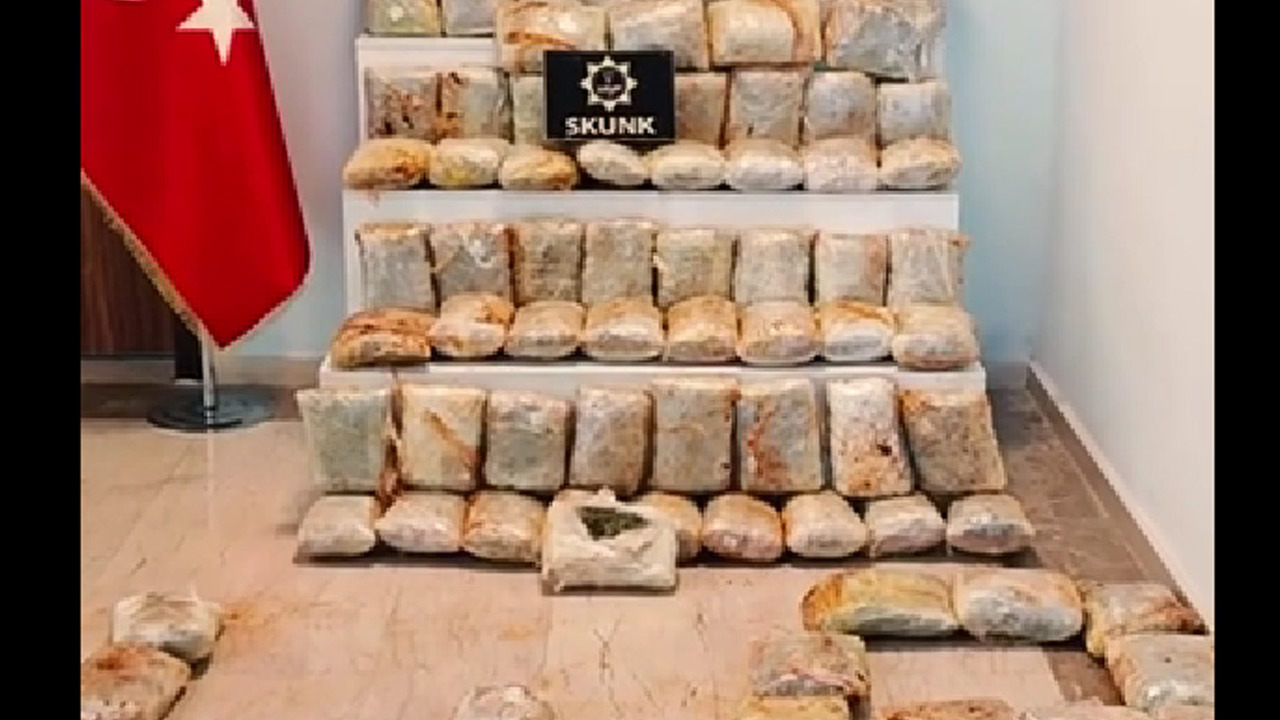 Muş'ta 60 kilogram skunk ele geçirildi